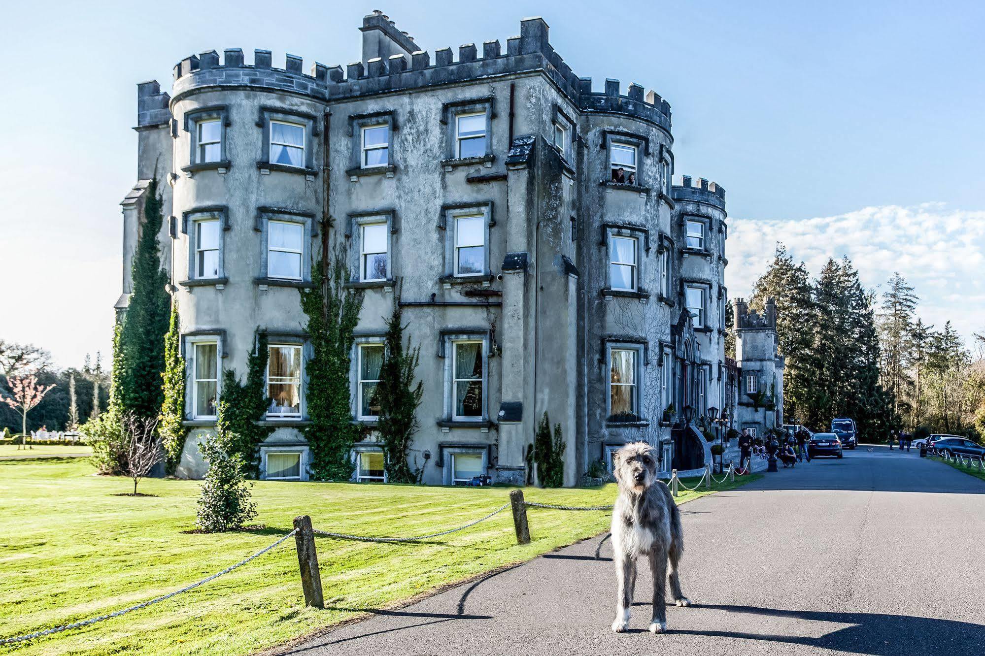 Ballyseede Castle Трали Экстерьер фото